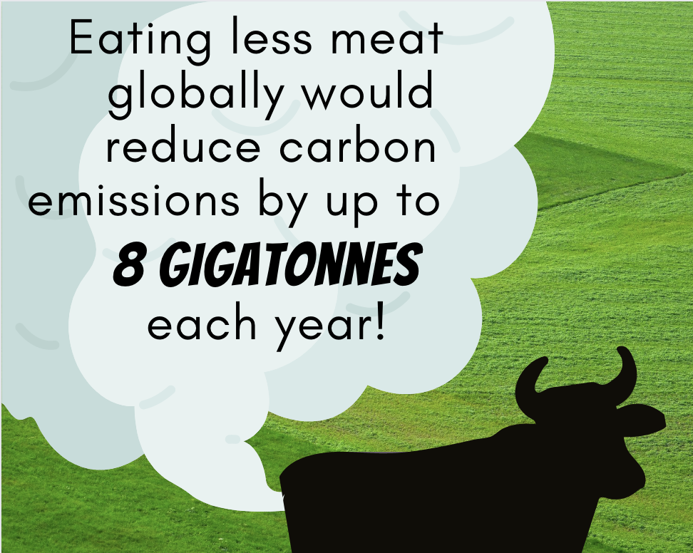 Eating less meat globally would reduce carbon emissions by up to 8 gigatonnes each year!